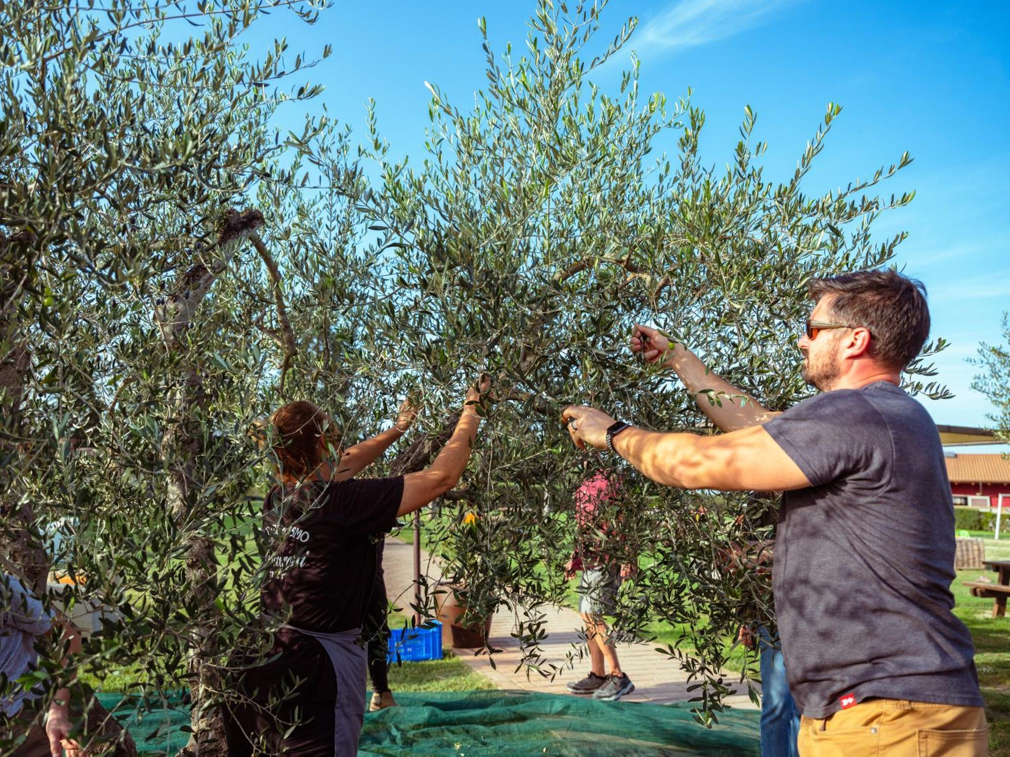 Agriturismo Pompilia Villamagna  المظهر الخارجي الصورة