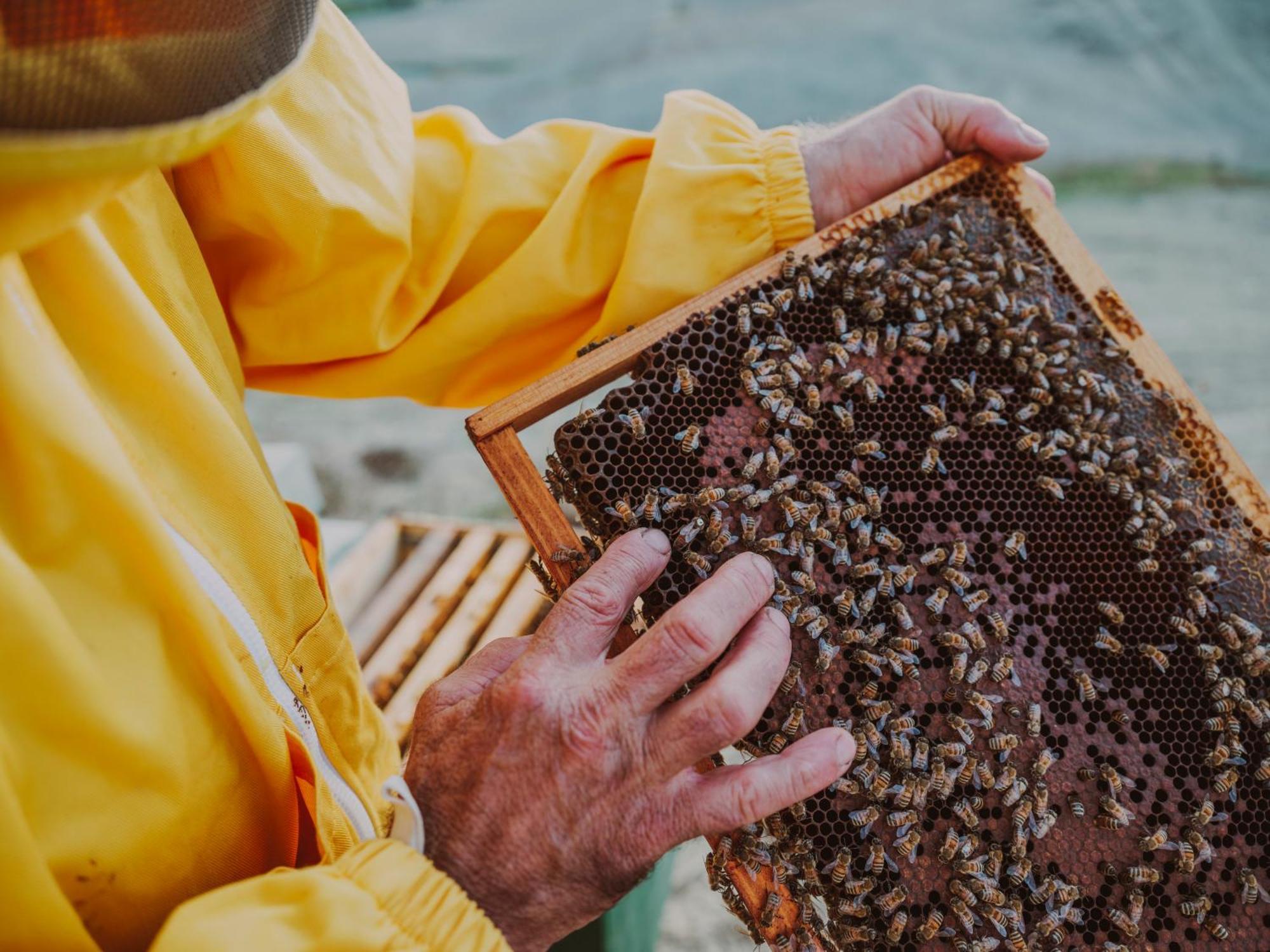 Agriturismo Pompilia Villamagna  المظهر الخارجي الصورة