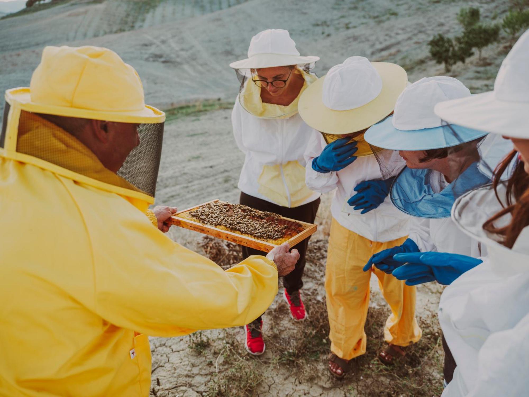 Agriturismo Pompilia Villamagna  المظهر الخارجي الصورة